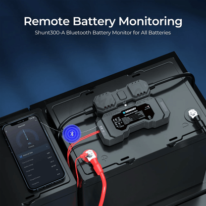 Renogy 300A Battery Monitor Shunt With Bluetooth - Wired Campers Limited