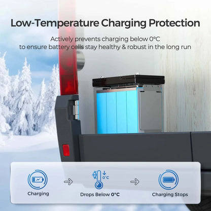 Renogy Core Mini 12V 100Ah Lithium LiFePO4 Leisure Battery - Wired Campers Limited
