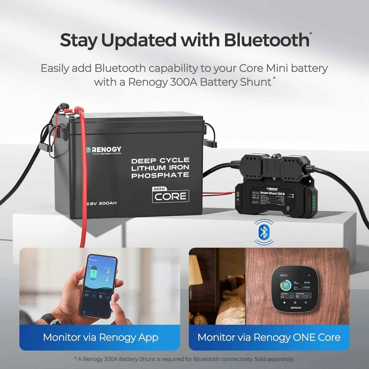 Renogy Core Mini 12V 200Ah Lithium LiFePO4 Leisure Battery - Wired Campers Limited