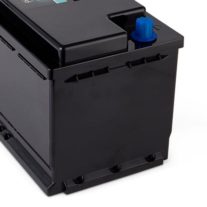 Xplorer Energy POLARMAX 12V 100Ah Low Height LiFePO4 Lithium Leisure Battery - Wired Campers Limited